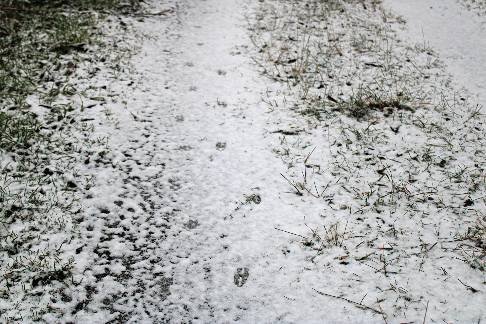 Spuren im Schnee