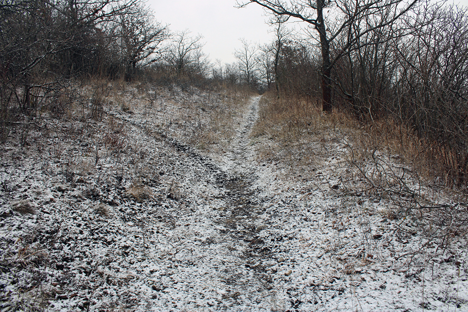 Spuren im Schnee (2)