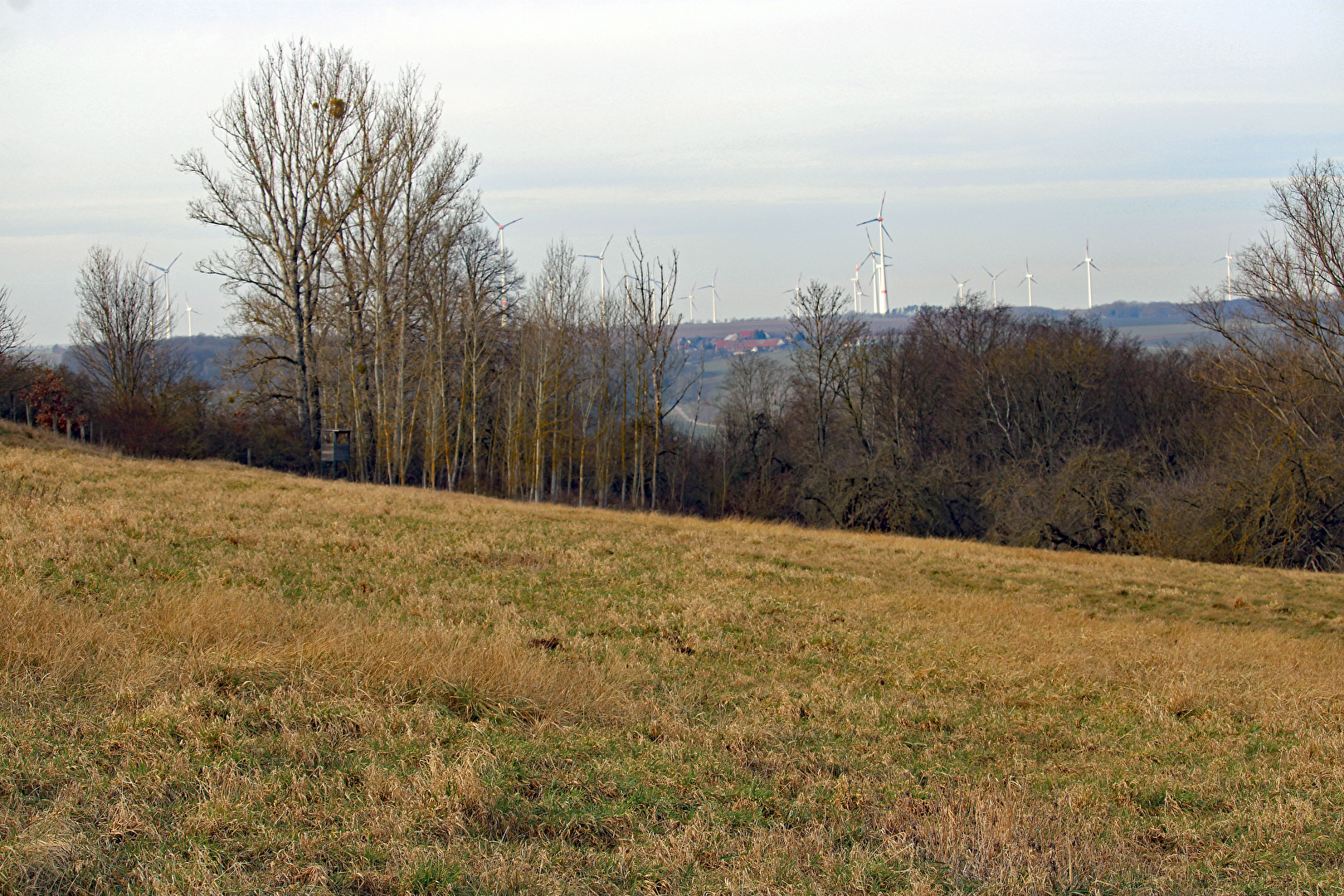 Rundwanderung Großgestewitz, Gemeinde Mertendorf (1)