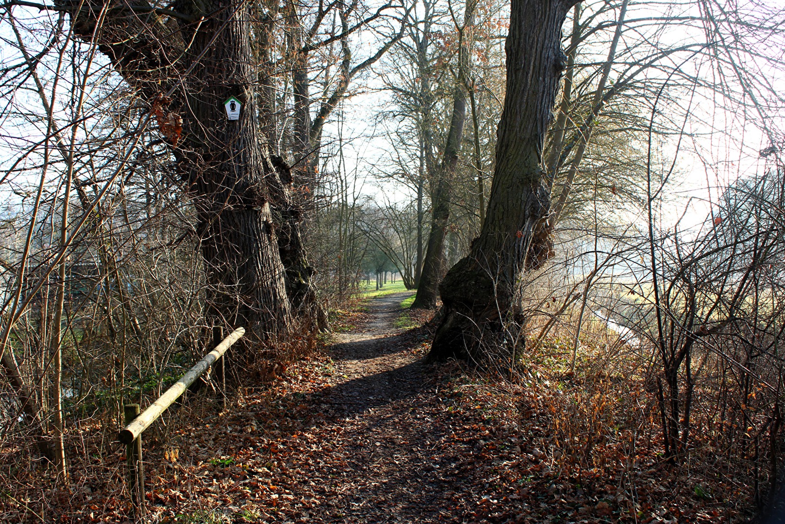 Auf dem Wanderweg in der Frühe