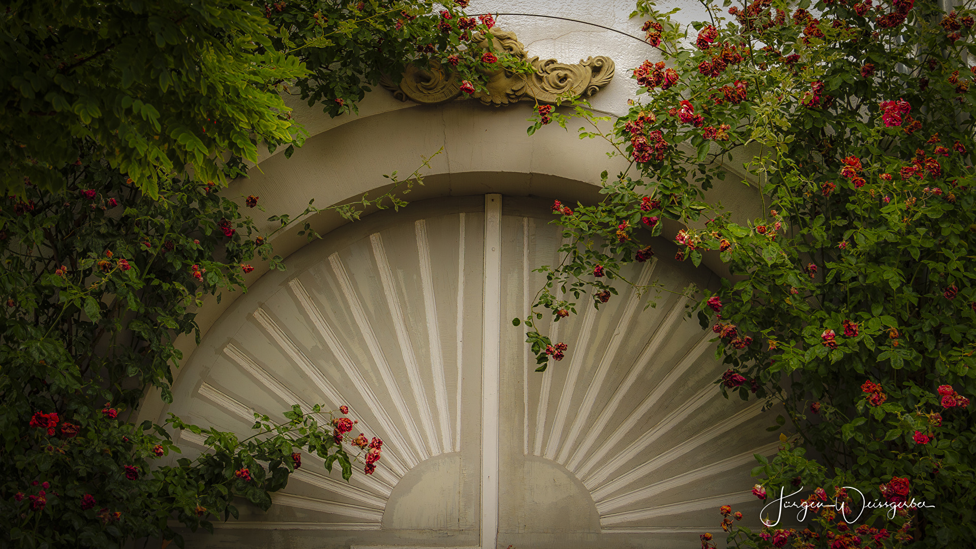 Von Rosen umschlungen.