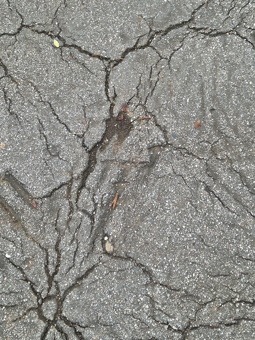 Surface Cracks of Things