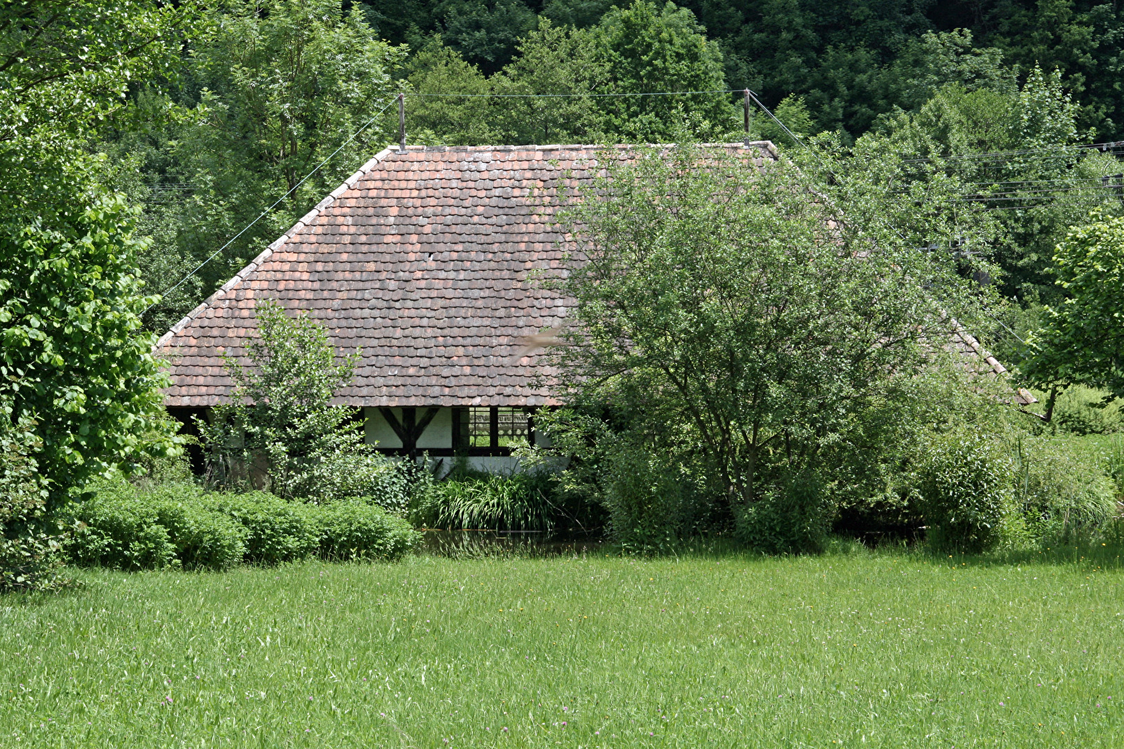 Gutach