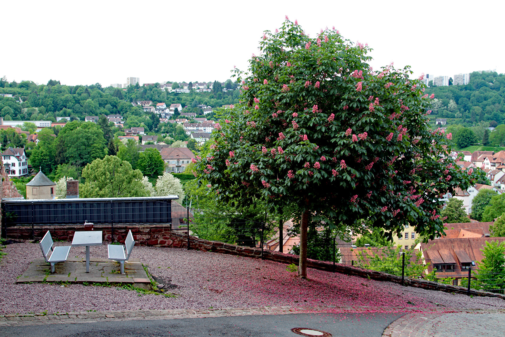 Wertheim