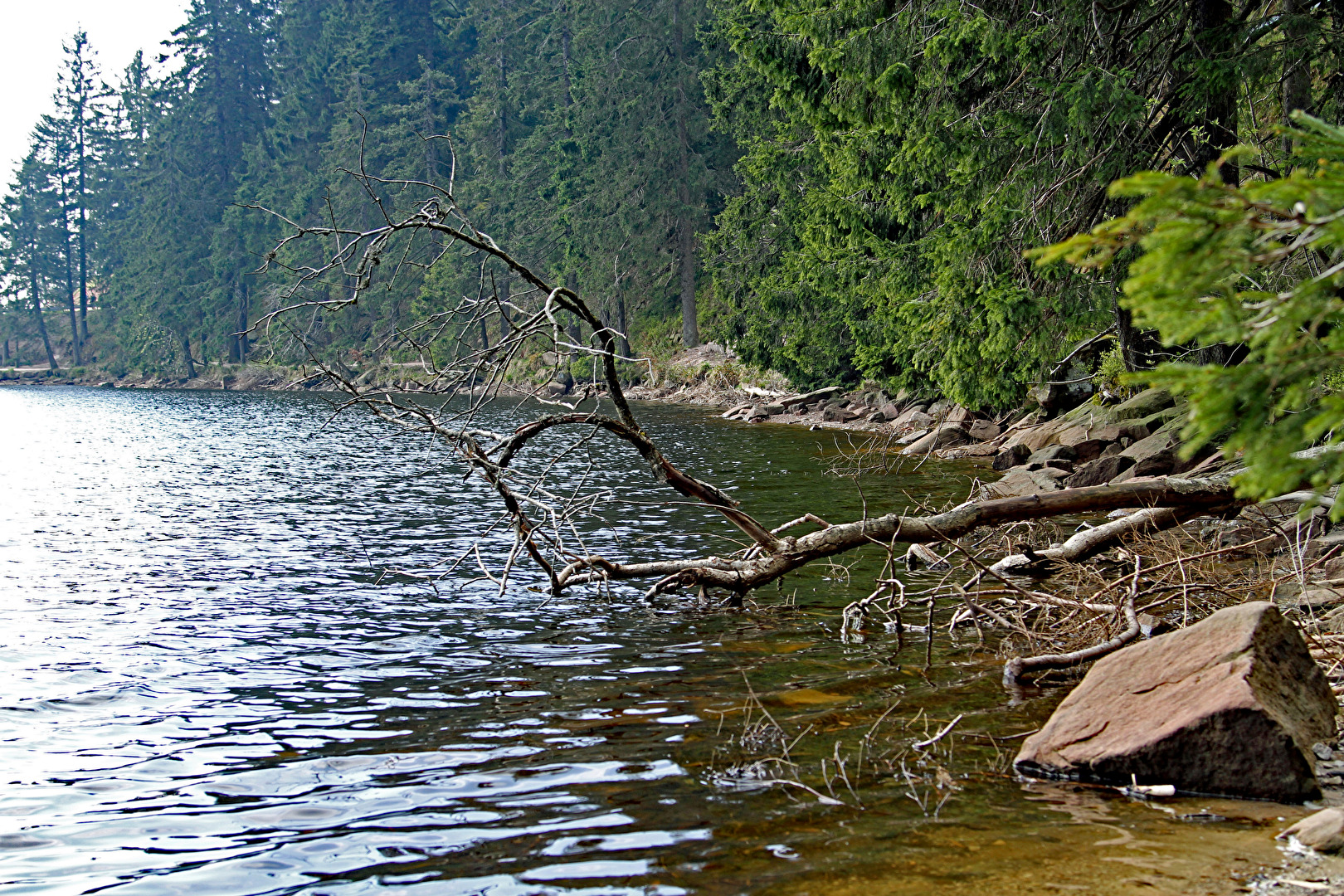 Mummelsee