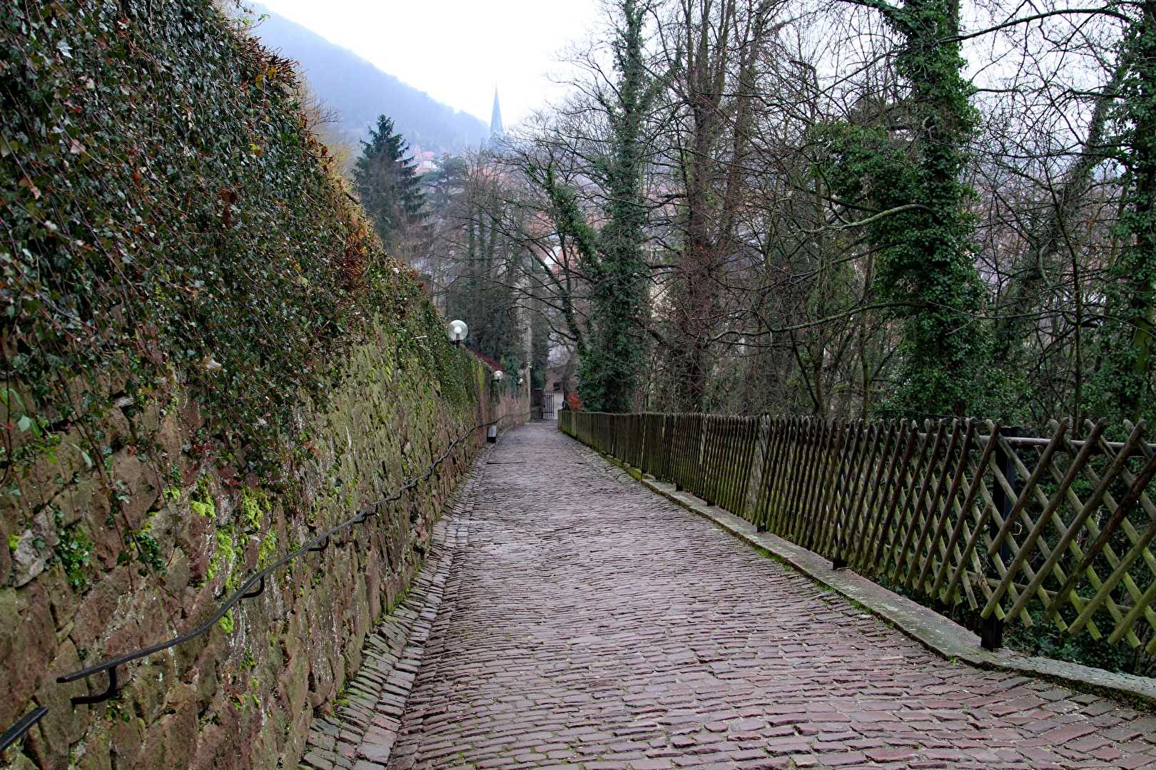 Heidelberg