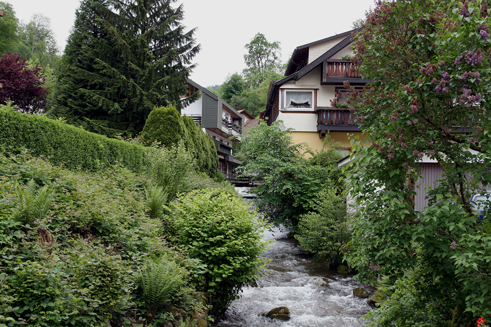 Bad Peterstal-Griesbach