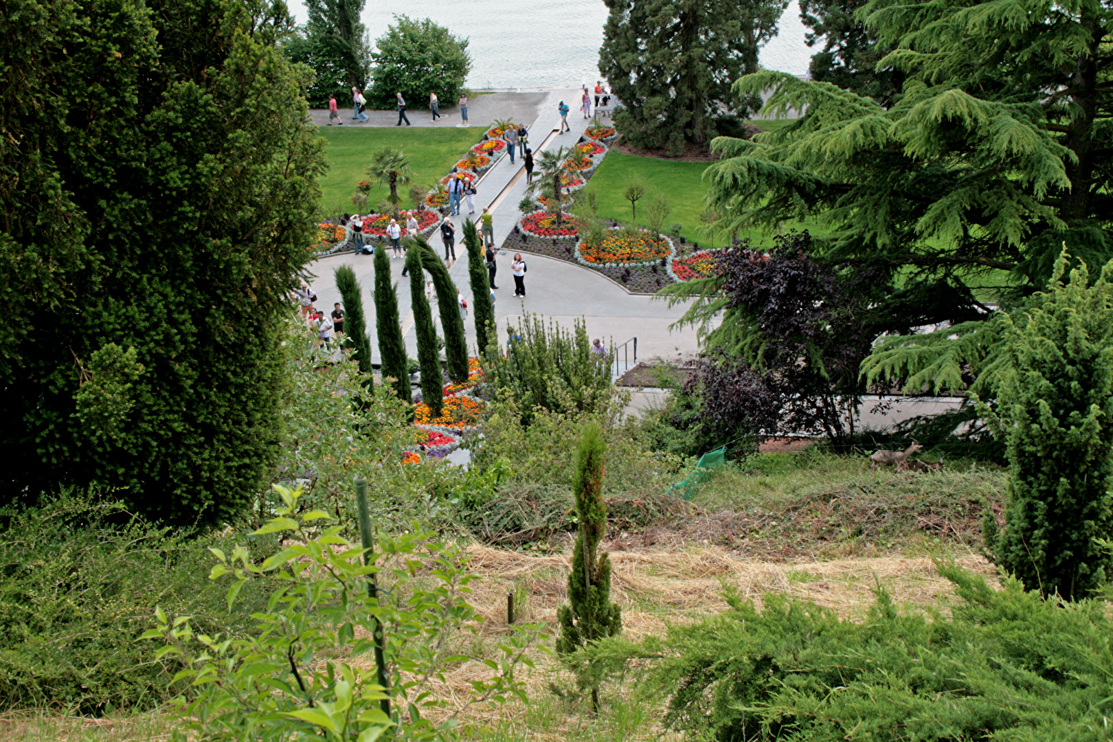 Mainau