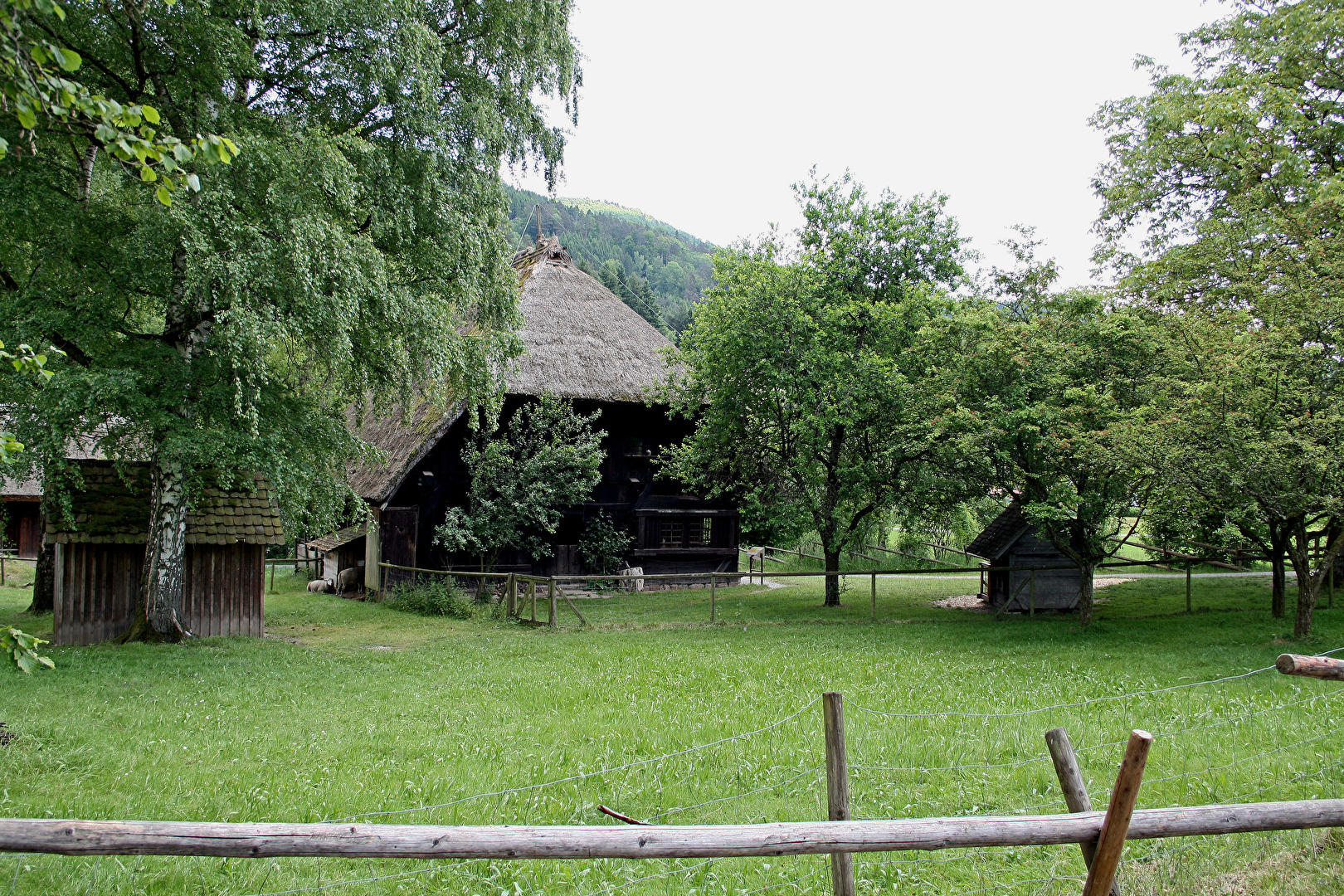 Gutach