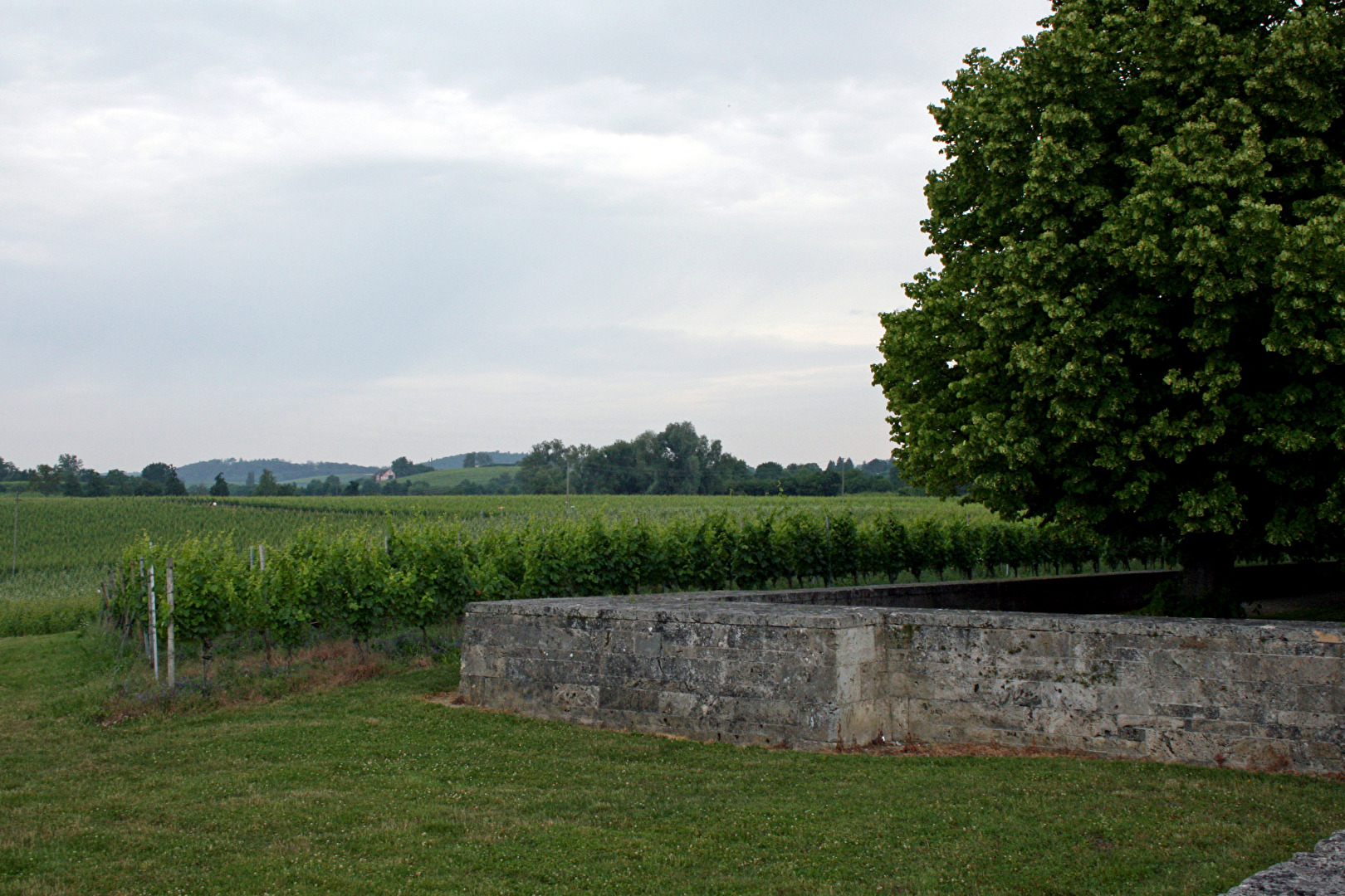 Stetten