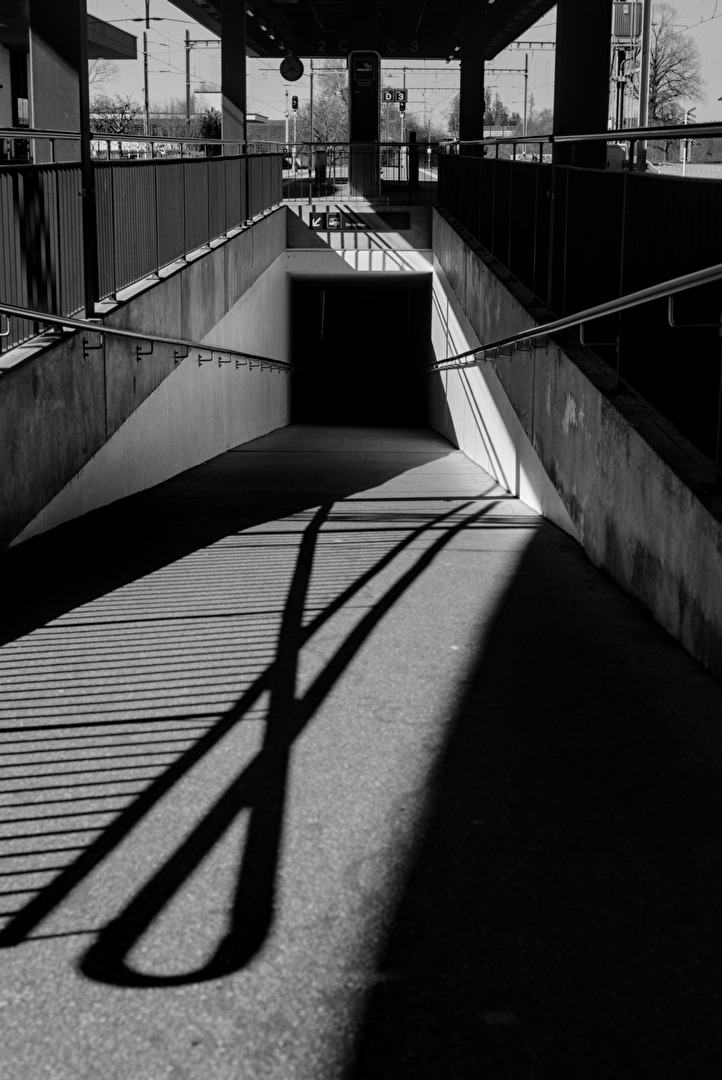 urban loop & lines