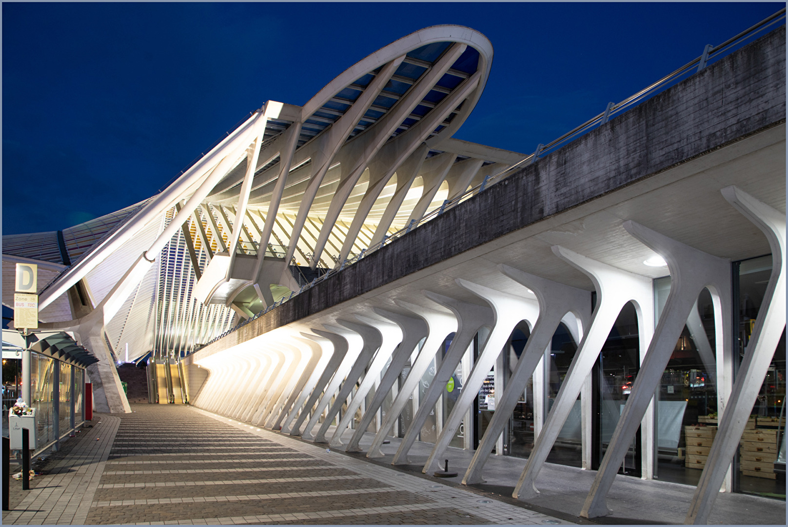 Gare Liège-Guillemins (2)