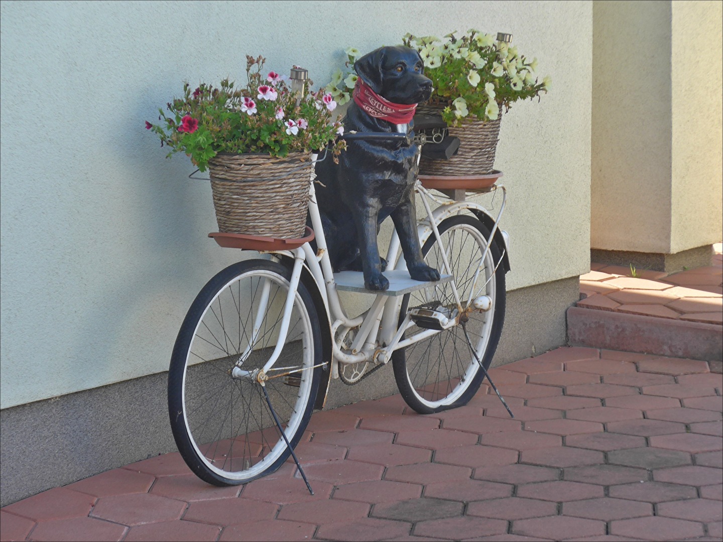 Fahrrad