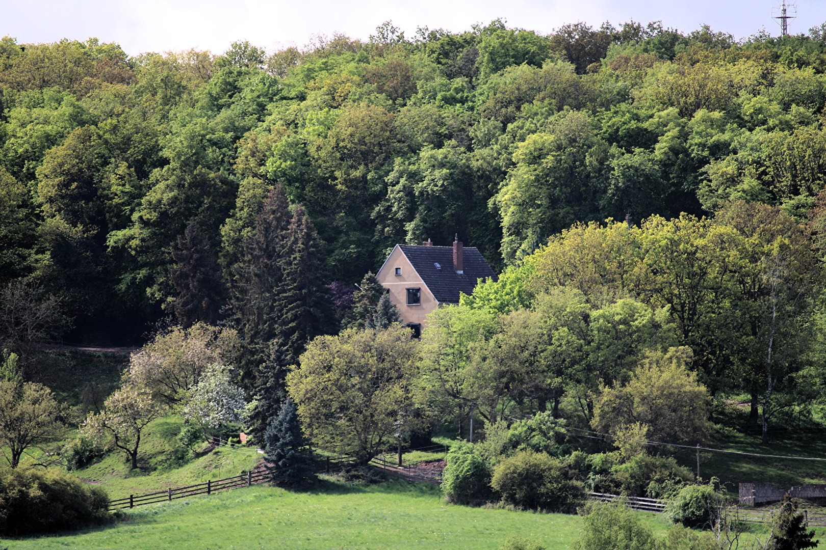 Haus am Wald