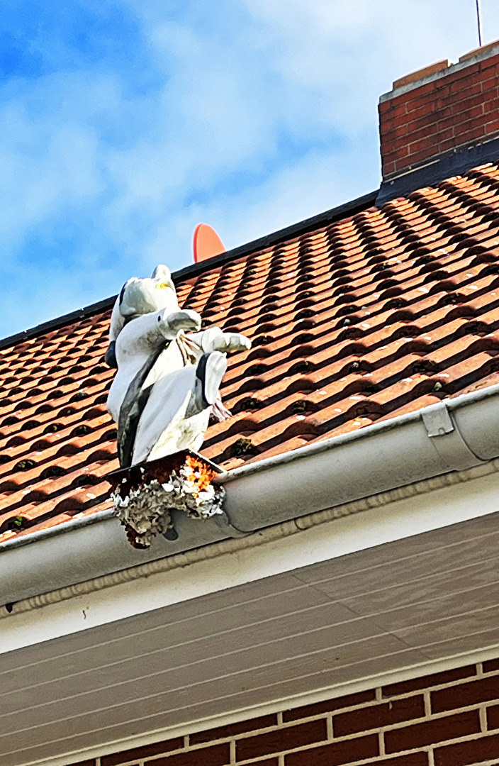 So was ähnliches, wie eine Puppe…