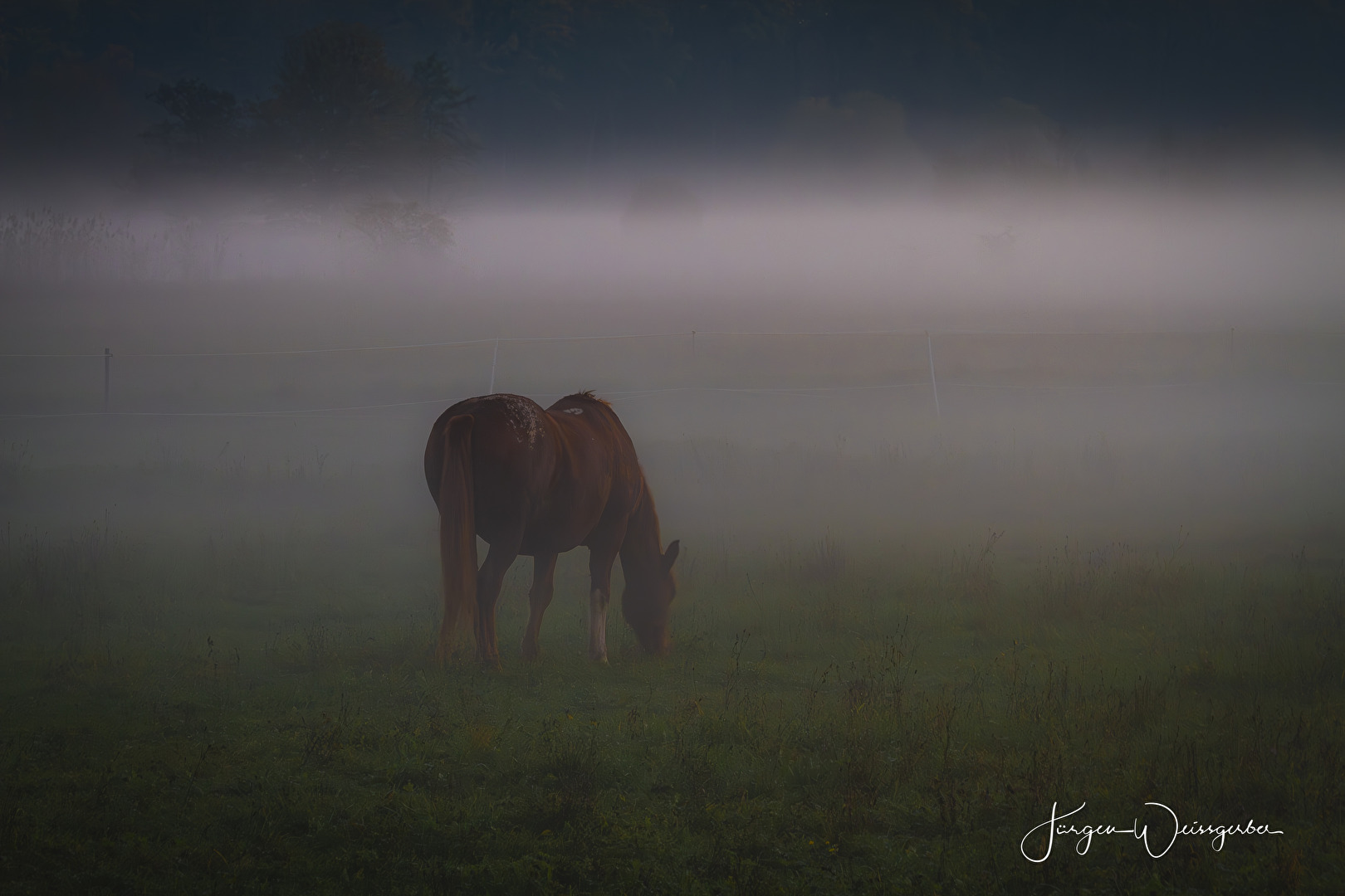 Ein ruhiger Moment im Nebel.