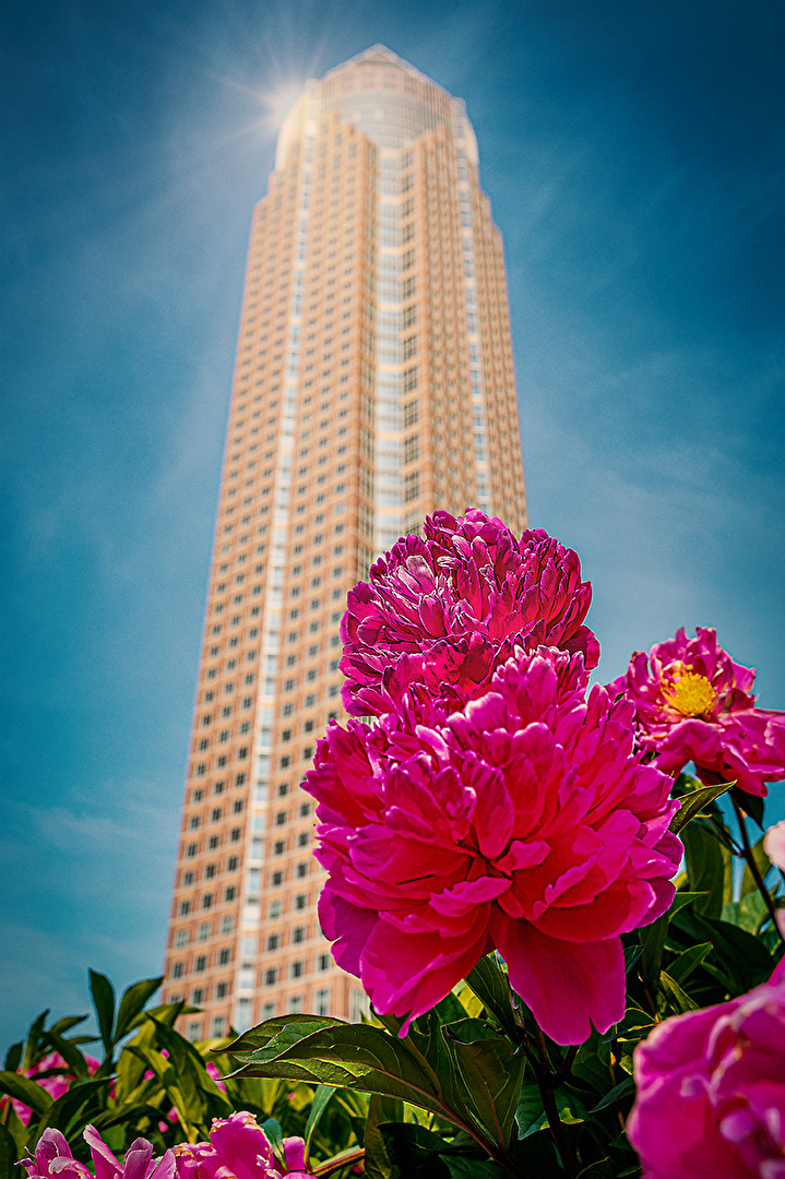 Messeturm in Frankfurt am Main