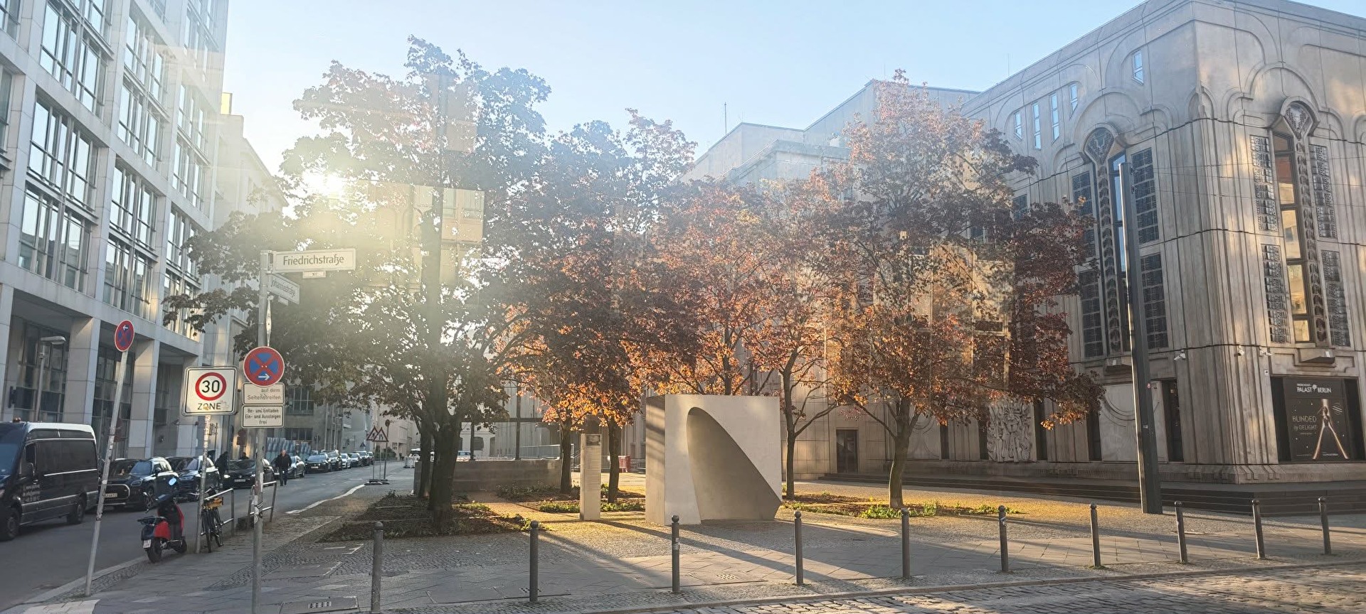 StadtBäume mit HerbstLook in der Sonne