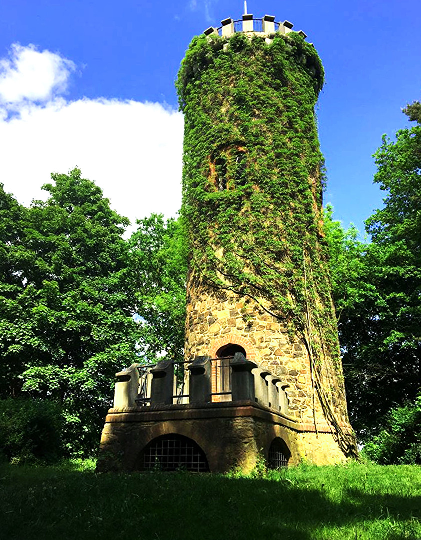 Turm (Höfgen Grimma)fasst vollständig bewachsen