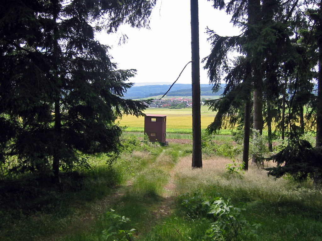 Vöhl-Buchenberg