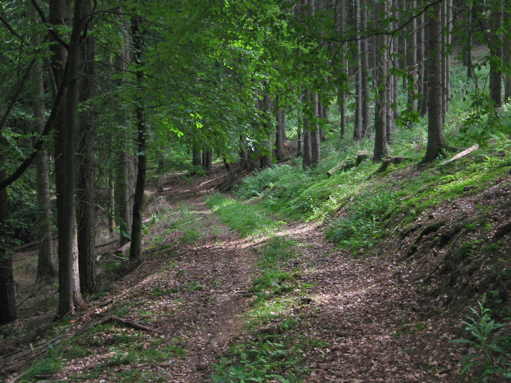 Vöhl-Buchenberg