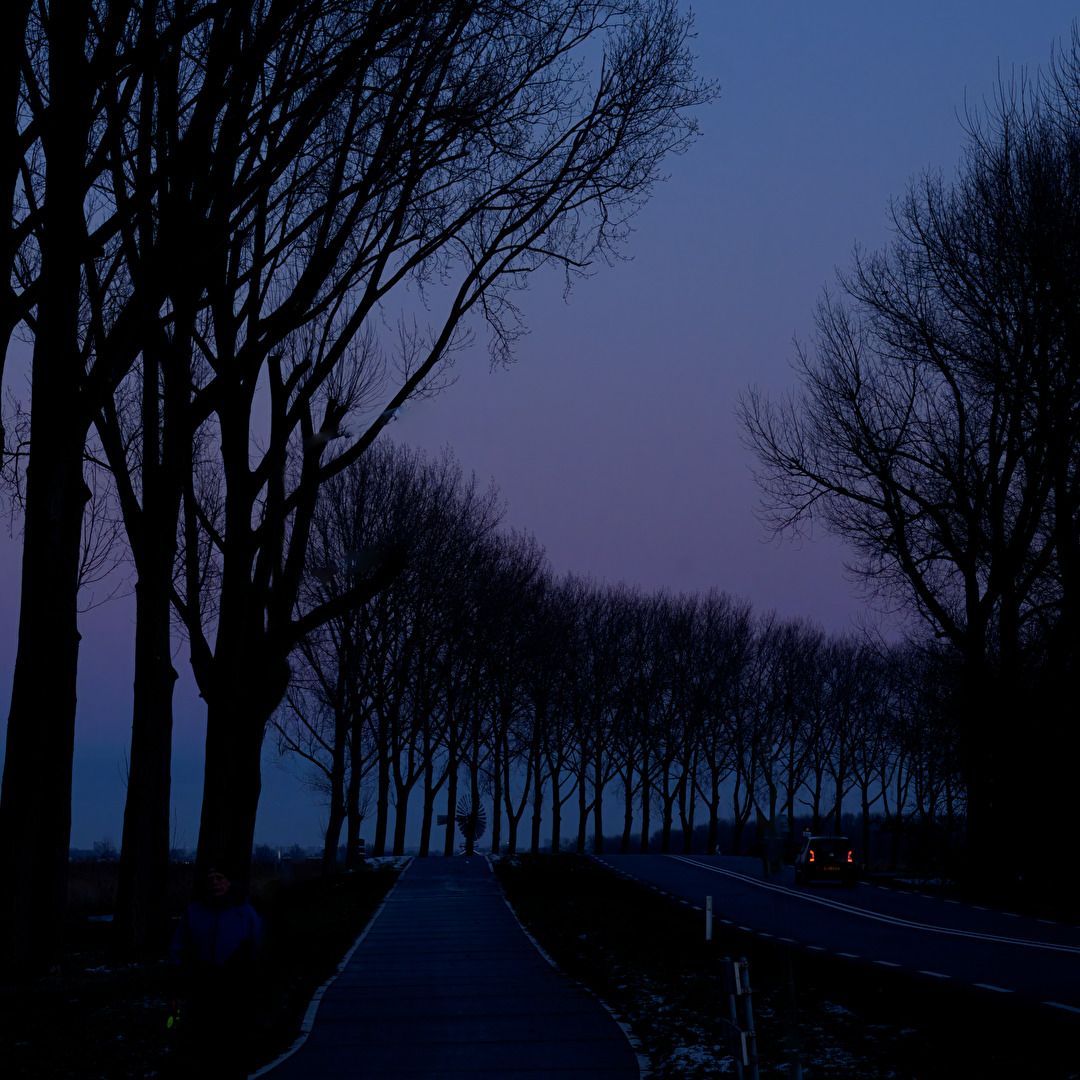 Blaue Stunde in Zaanse Schans