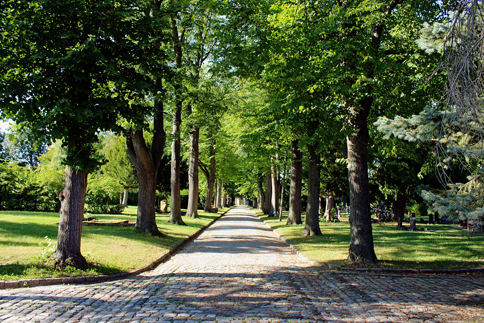Friedhofsweg