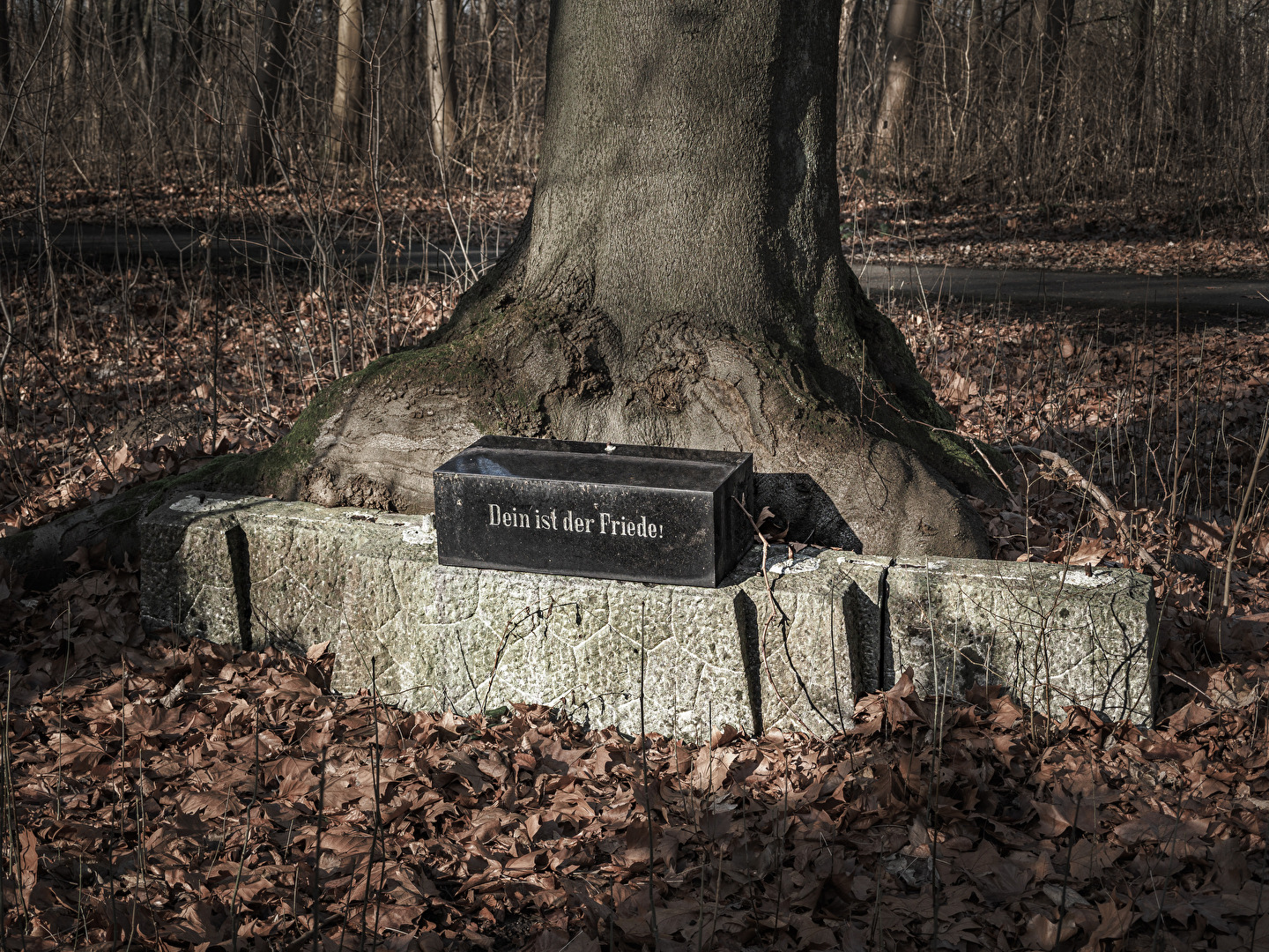 Dein ist der Friede!