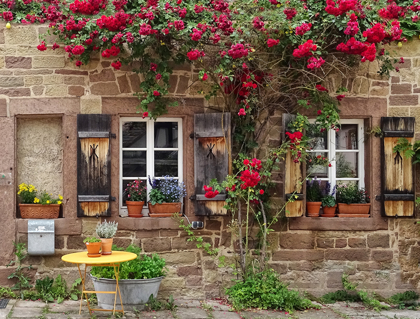 Blumenfreund