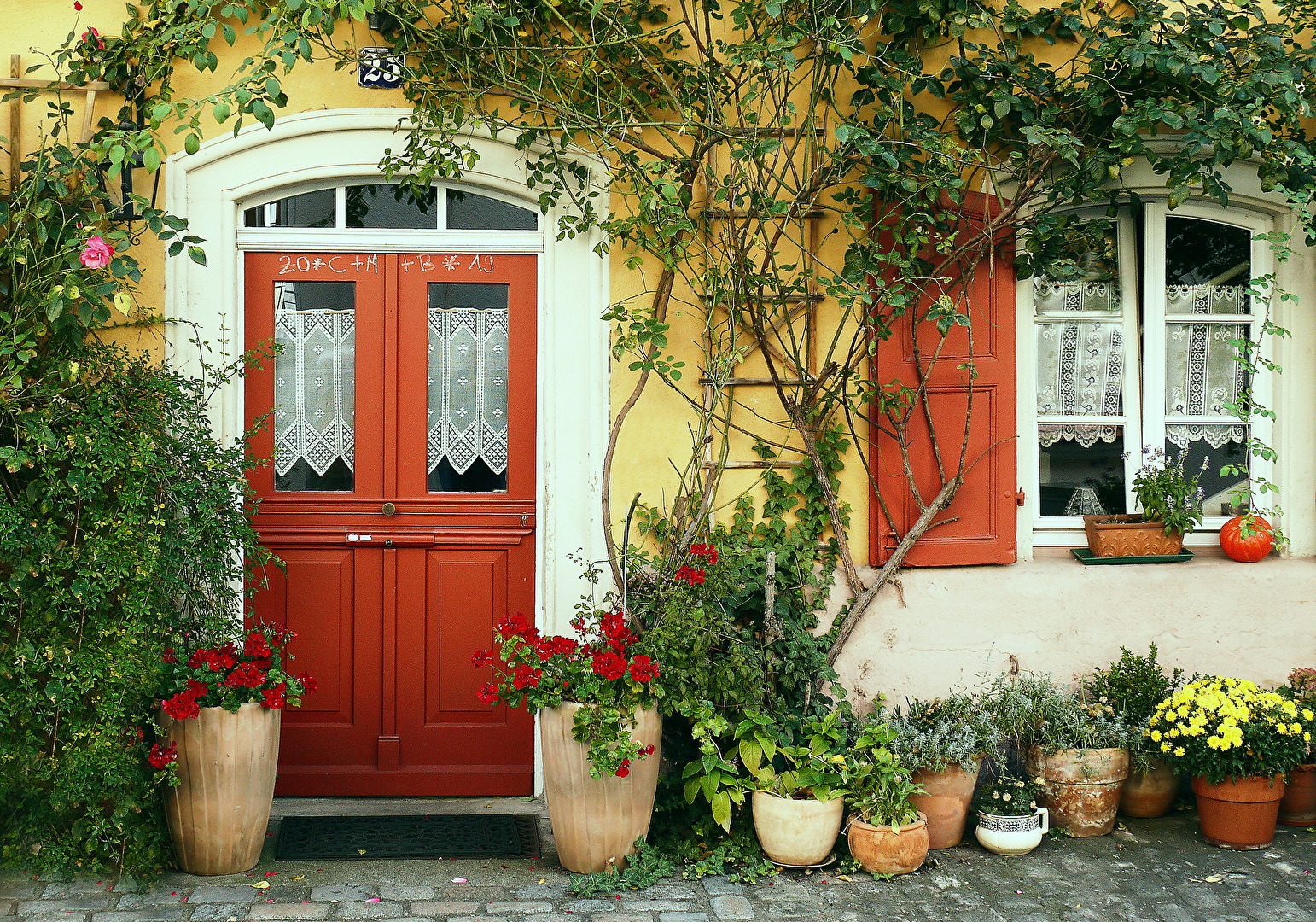 Der Gartenfreund