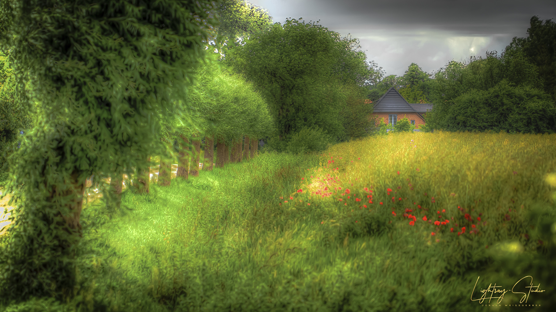 Zwischen den Konturen