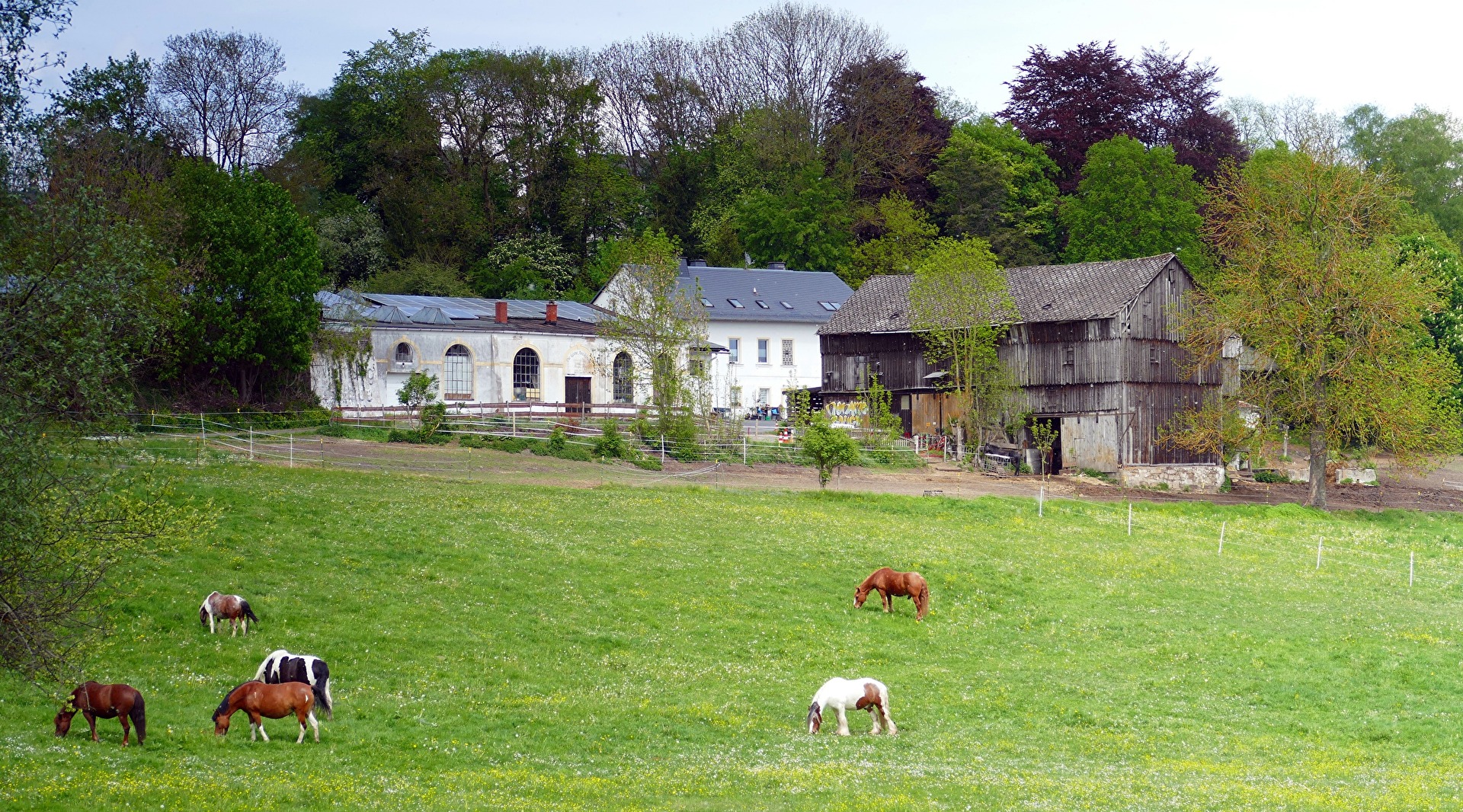 Bauernhofszene