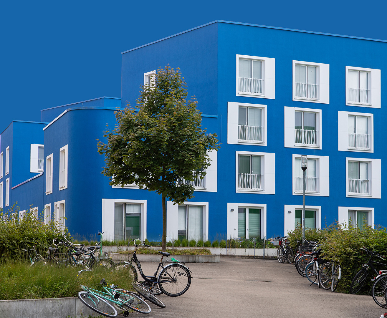 das blaue Haus