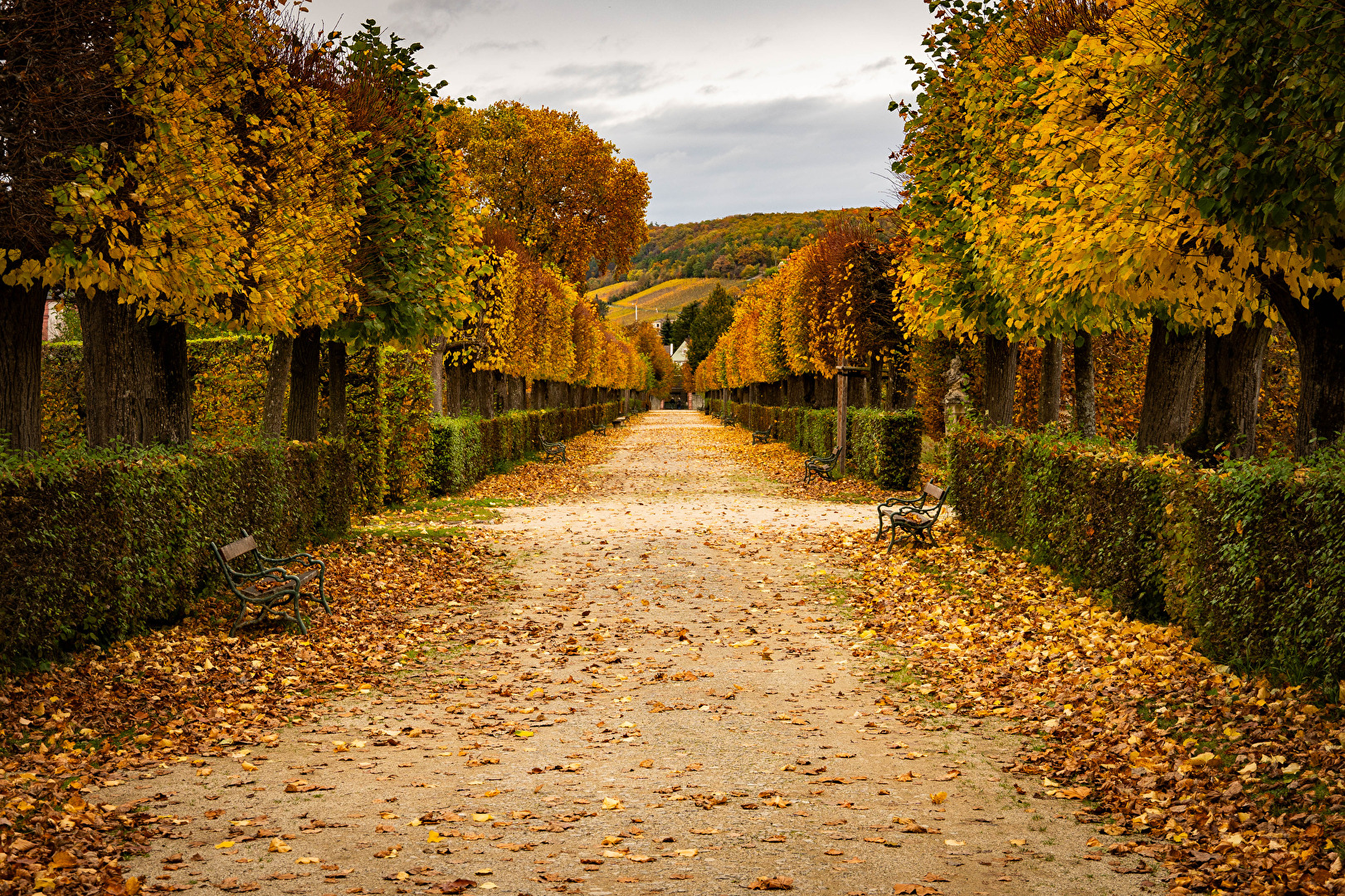 Rokoko Garten Veitshöchheim