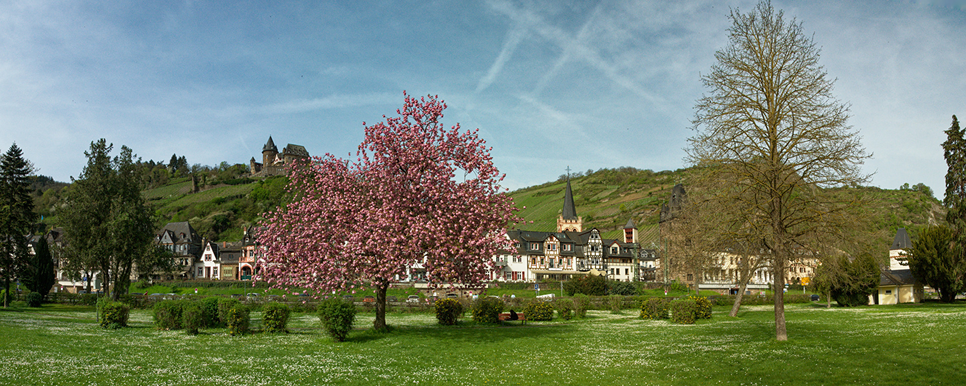 Bacharach