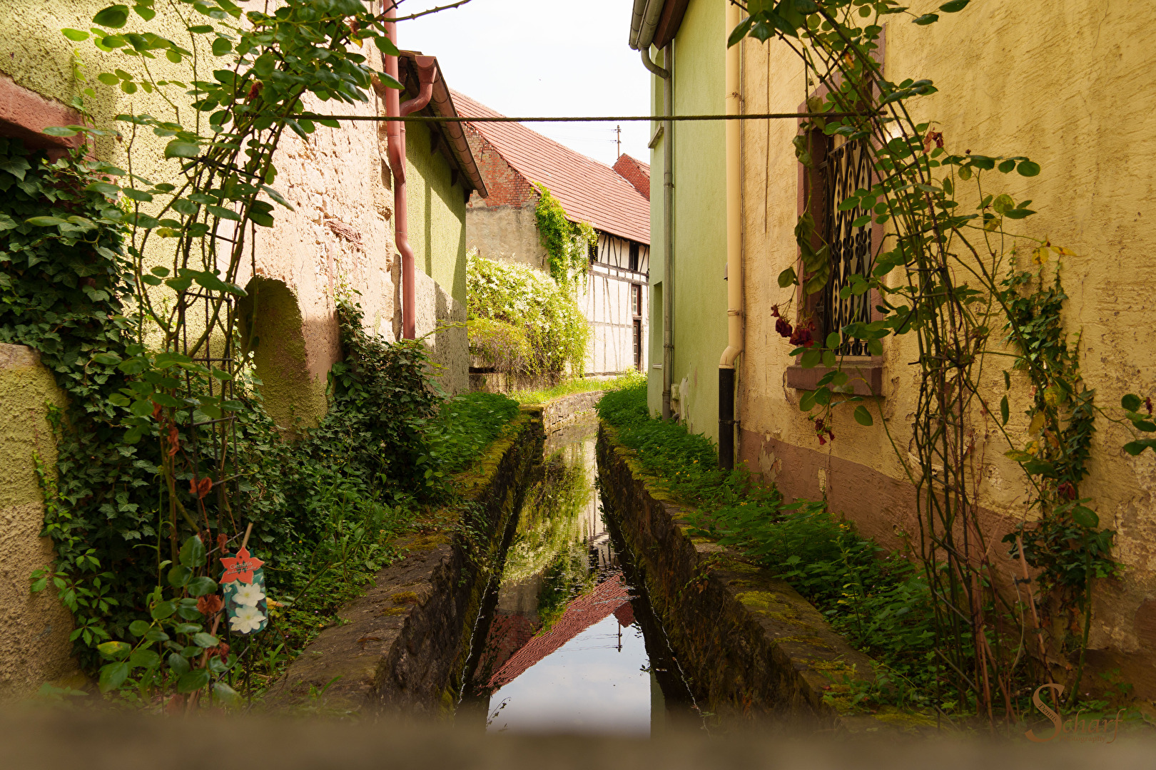 Gefangener Bach