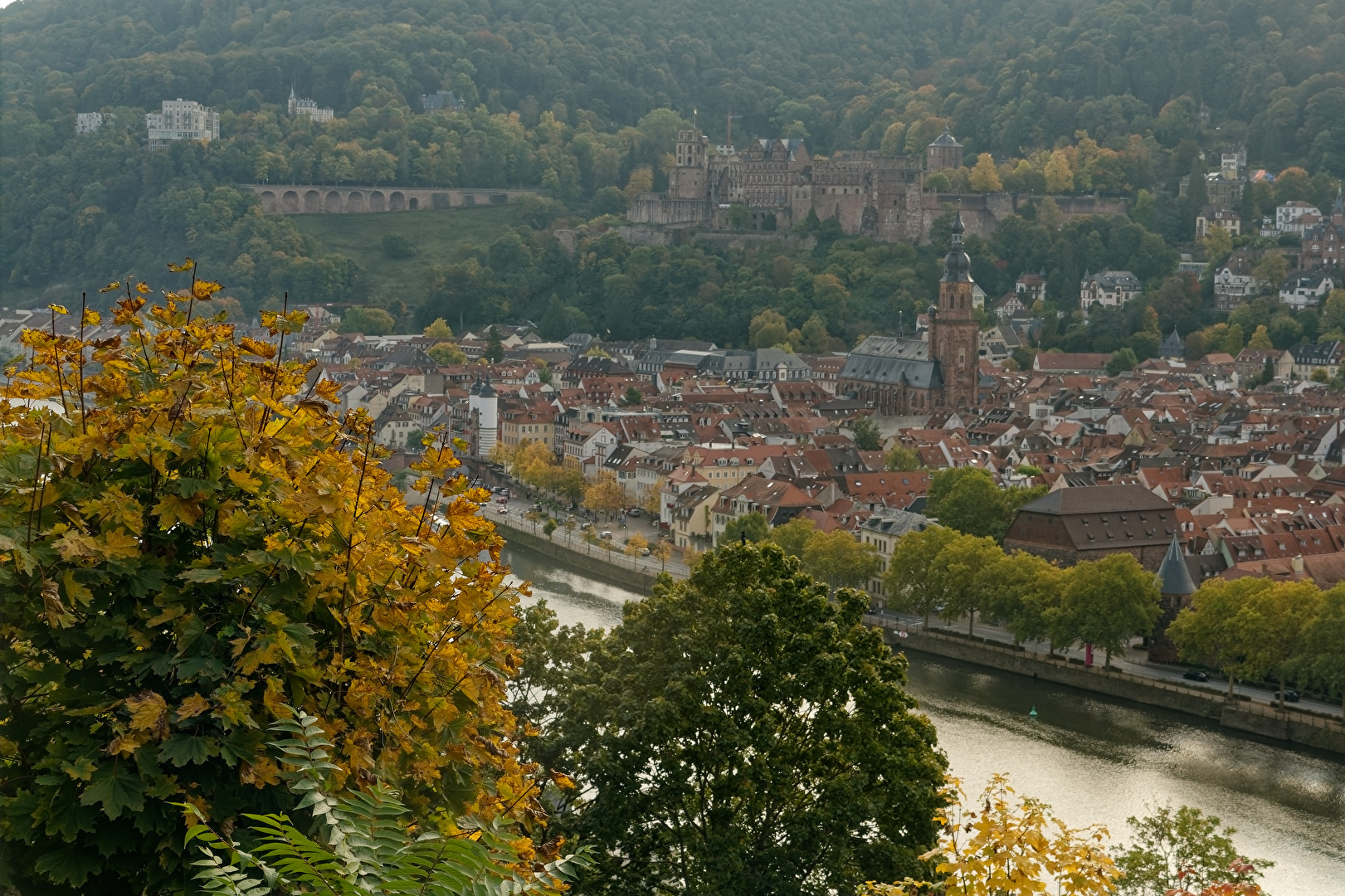 Heidelberg im Herbst