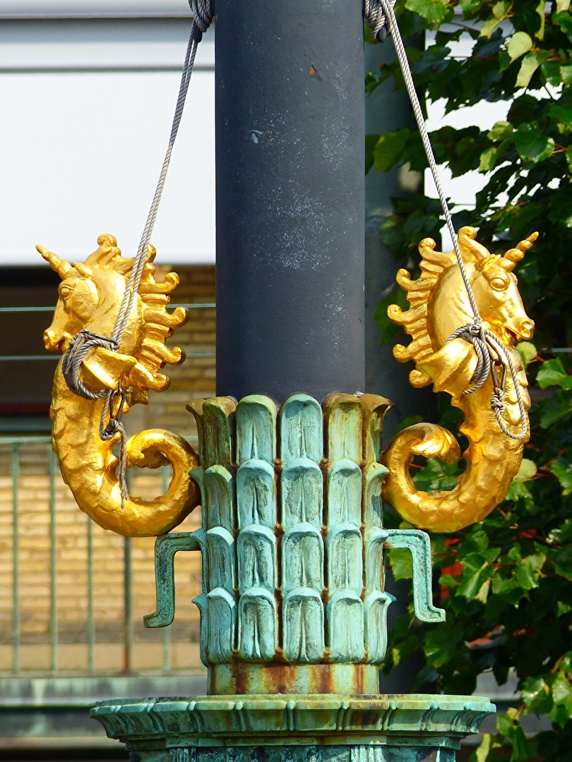 Einhornseepferdchen bei der Arbeit