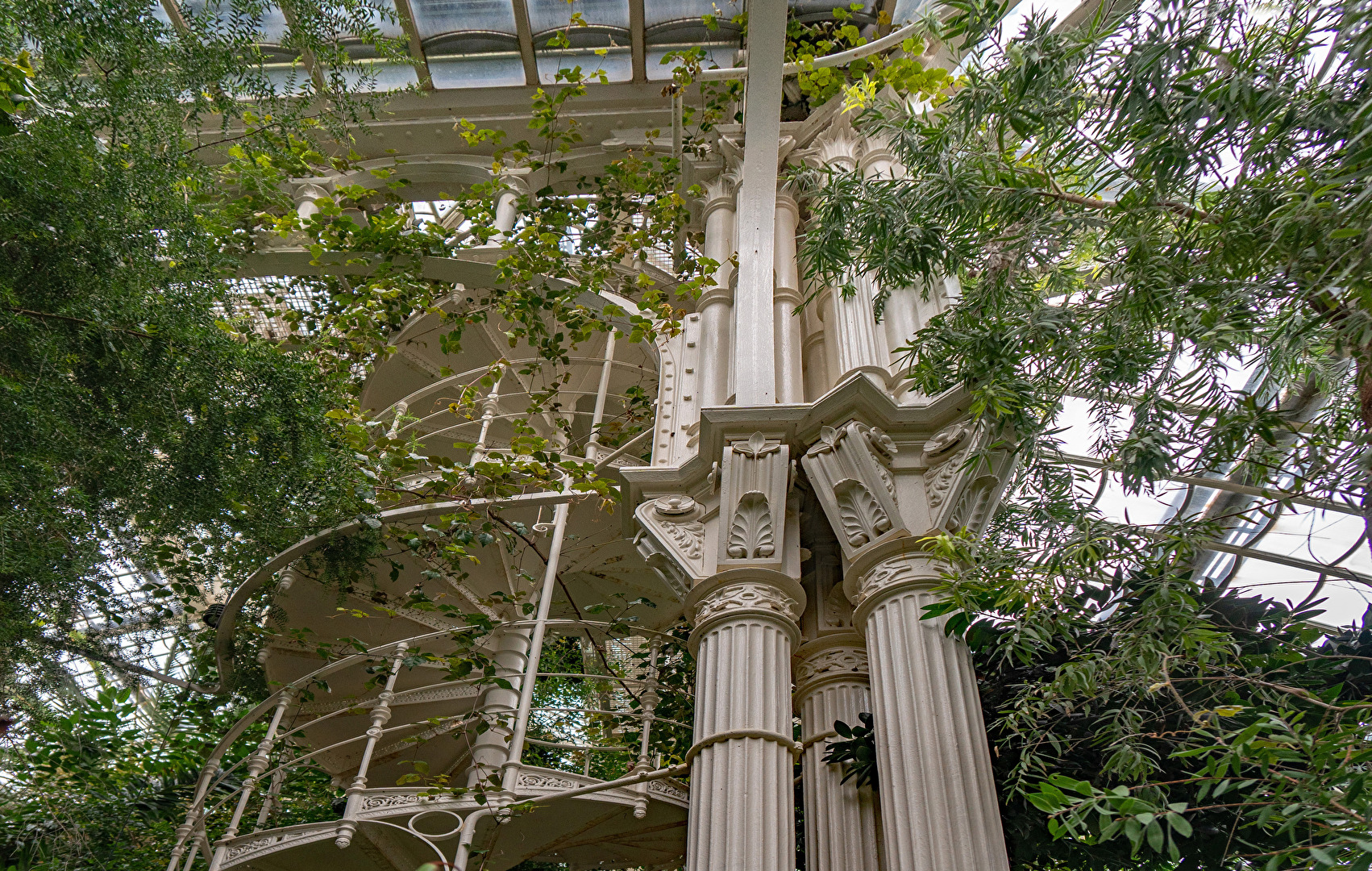 Palmenhaus Wendeltreppe