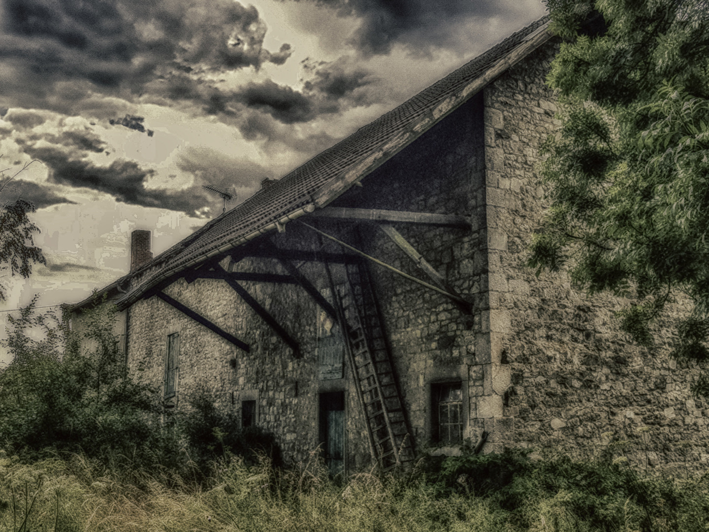old and very lost