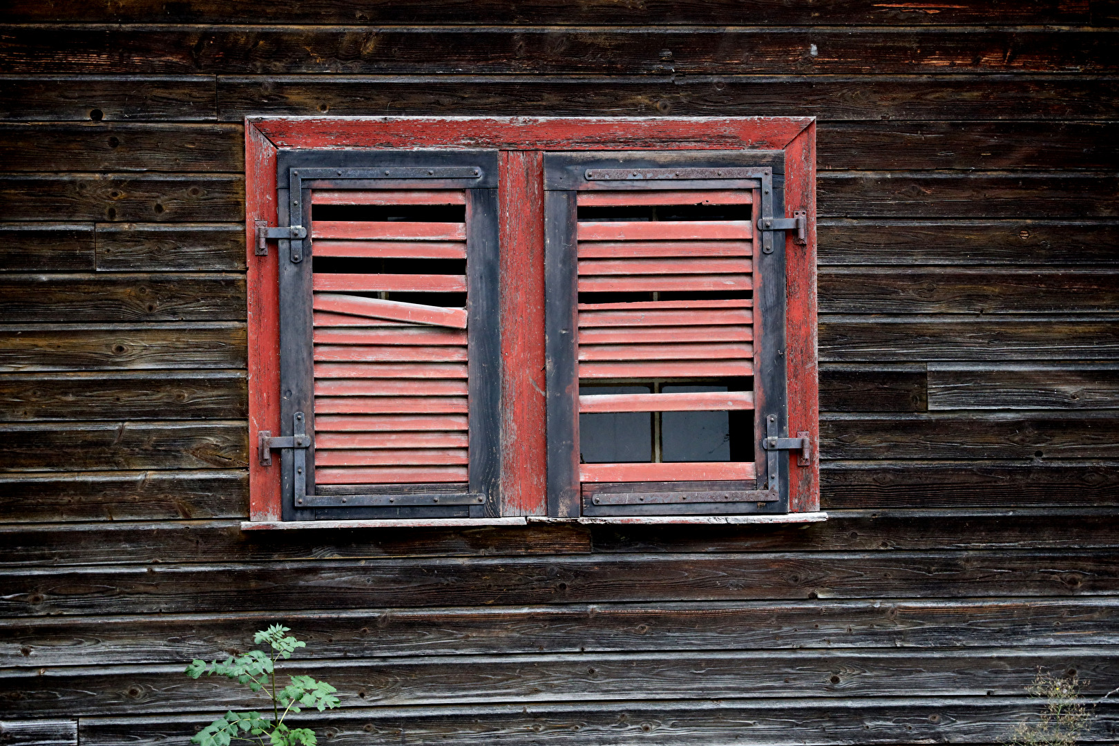 Fensterladen mit Durchblick!