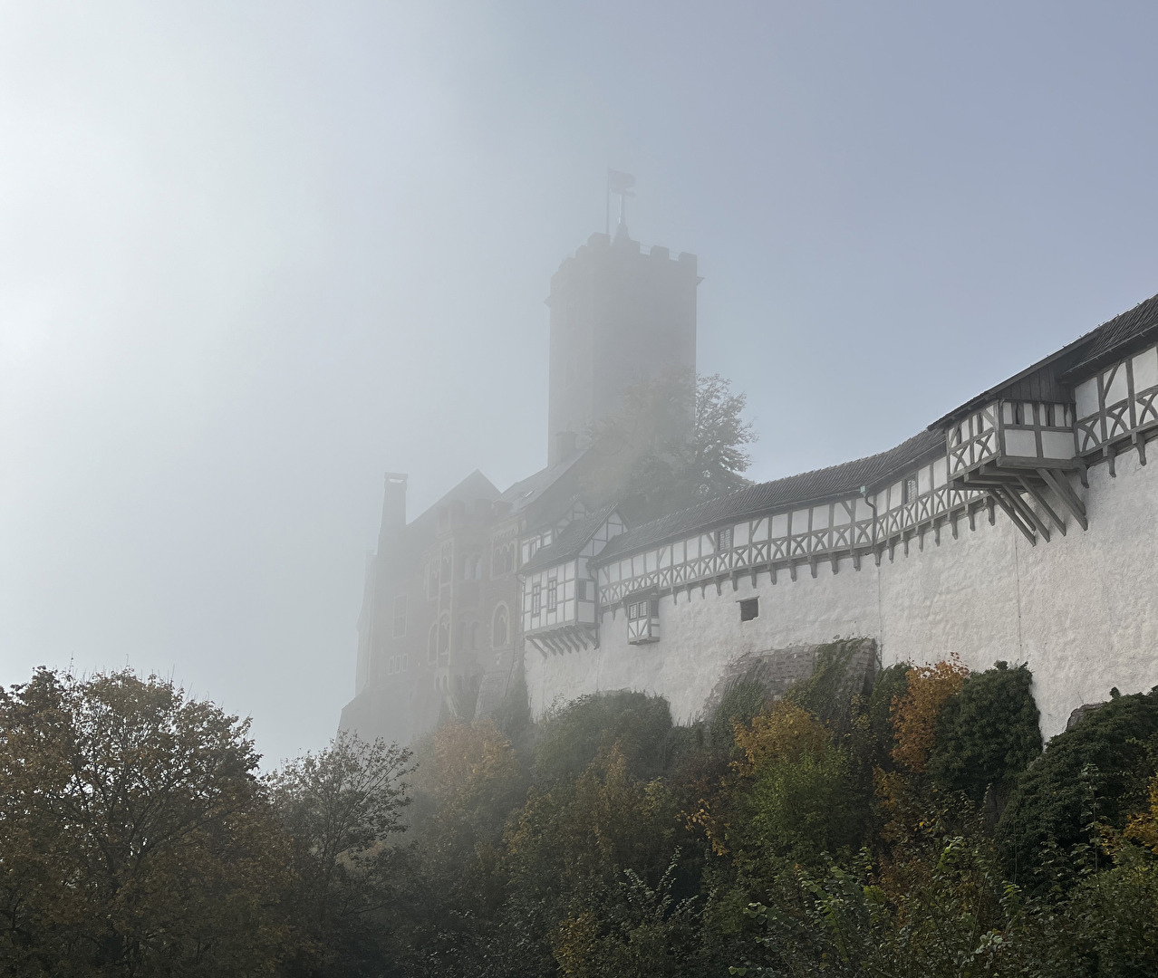 #Nebel #Zwielicht