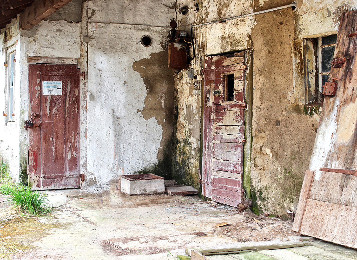 Als mir heute Nacht träumte