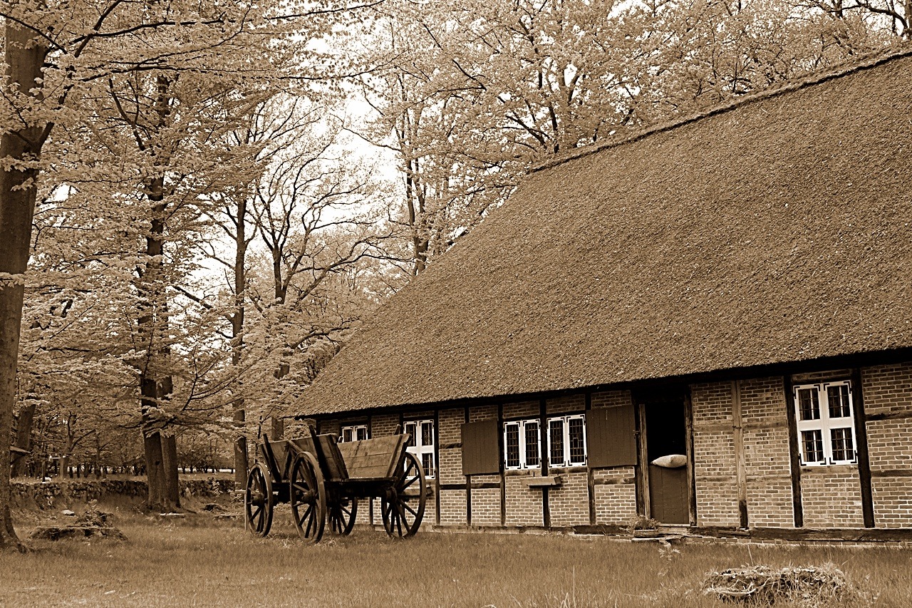 in der Lüneburger Heide