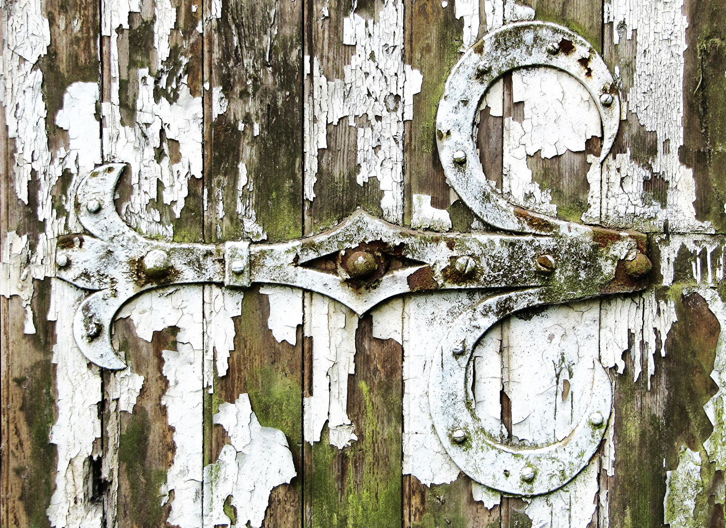 Einst in hellem Weiß