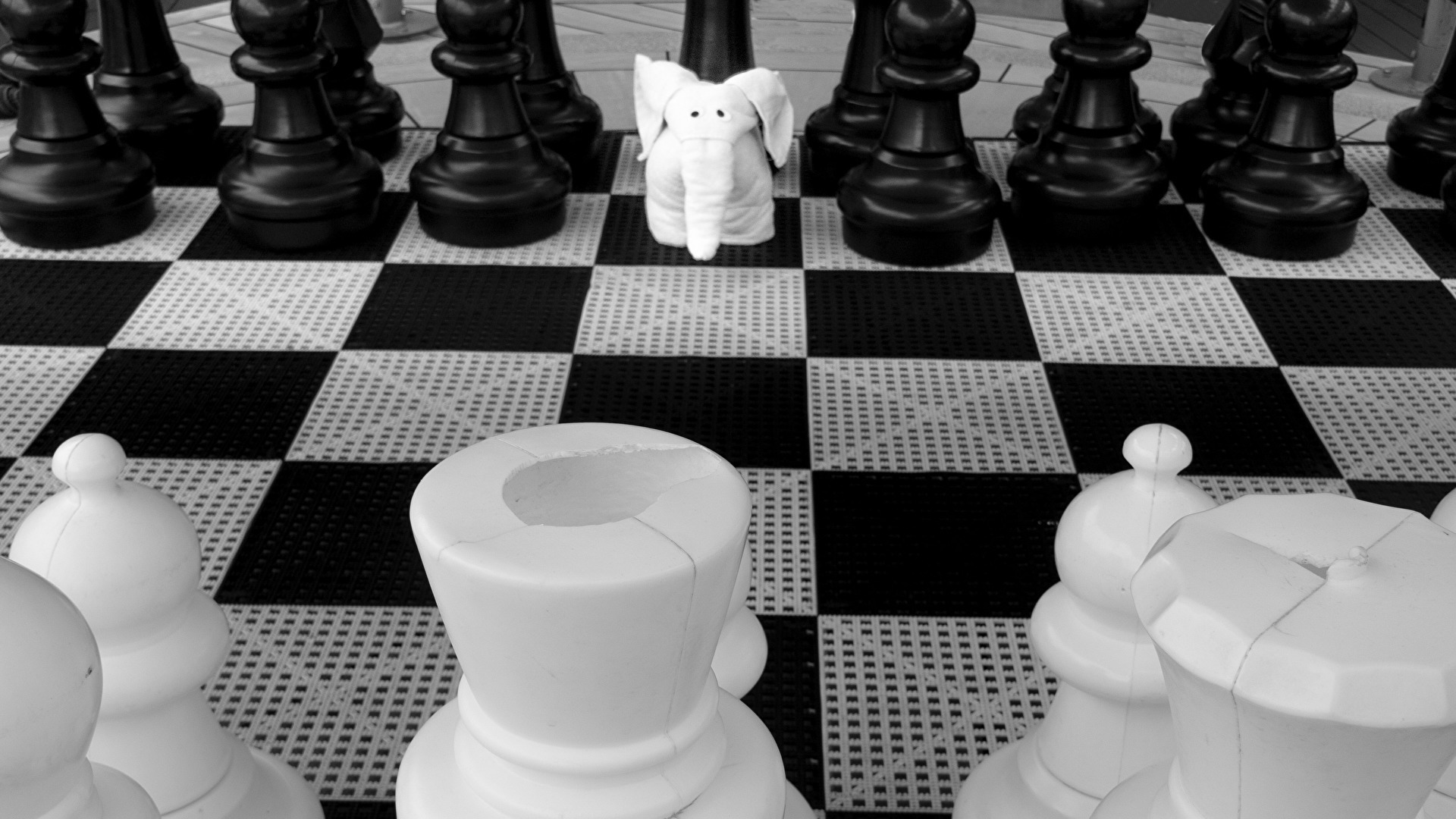 Der kleine Hannibal hat zwar immer noch Angst .........