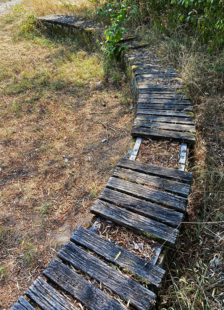 schon etwas älter…