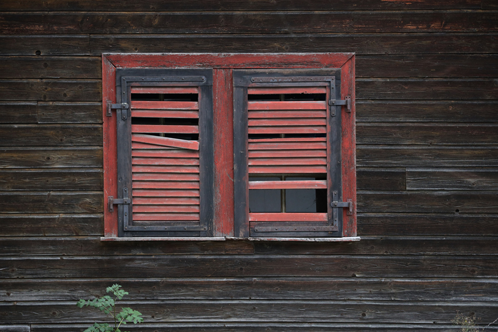 Fensterläden mit Durchblick.