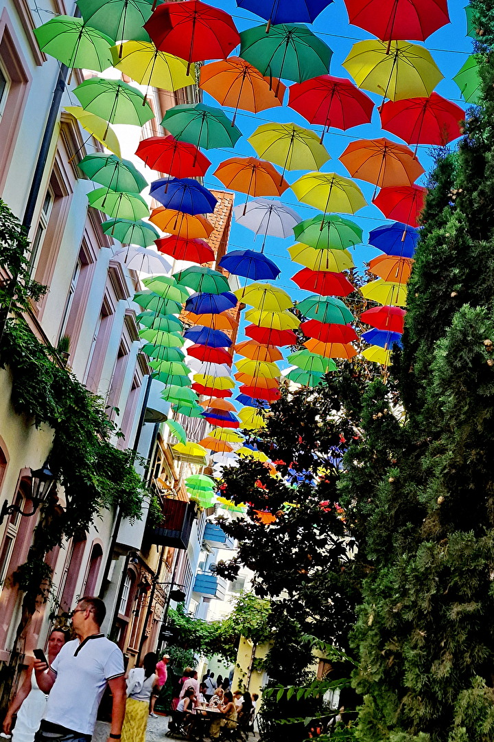 Regenschirme - Auf dass es nicht reinregnet !