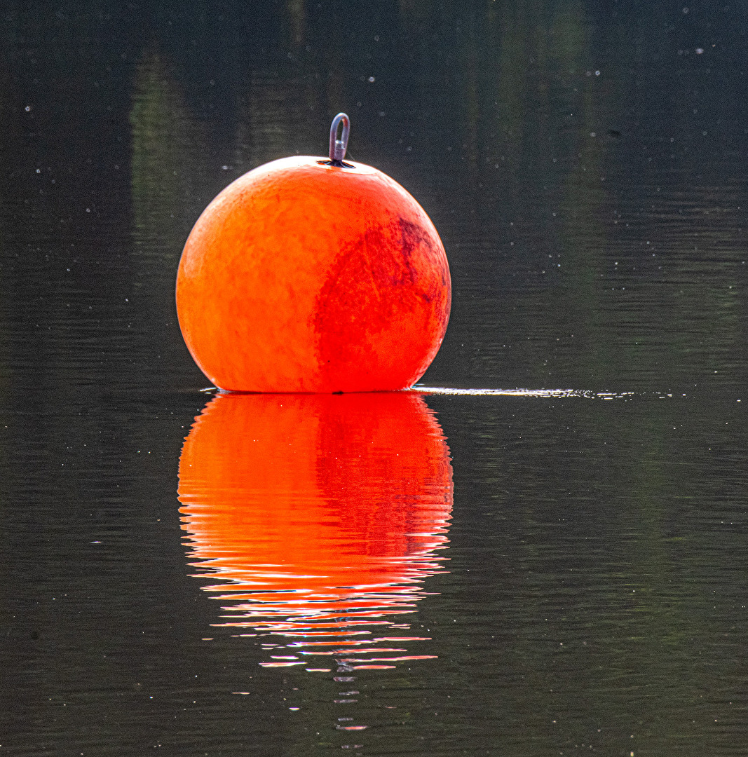 Reflektion einer Boje